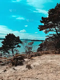 隐藏在森林中的视图