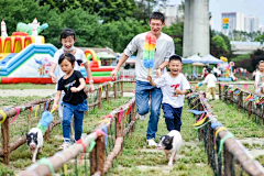 🌸沙沙沙🌸采集到亲子系列