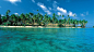 斐济：Jean-Michel Cousteau Fiji Islands Resort酒店在2007年被TripAdvisor评为世界十大环境友好酒店之首。创始人Jean-MichelCousteau继承了父亲——著名船长Jacques Cousteau对海洋的挚爱，作为知名海洋探险家和环境保护者也享誉世界。所有建筑全部使用当地的天然材料，用椰子和回收瓶构建的废水系统将水净化后注入海湾，它是世界上唯一一家雇用海洋动植物专家常驻的酒店，担纲海洋生态事务的咨询，并通过组织体育娱乐活动向游客传授海洋生态保护方面