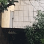 005SPgregy1h381tirrmjg306r06rtwe.gif (243×243)