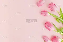 插花贺卡模板与文字的空间。粉红的郁金香平铺在粉红色的背景上.女人快乐的一天。母亲节快乐。3月8日别致
