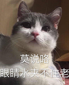 抠图仔——采集到哈哈大笑