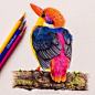 一组逼真手绘彩铅作品~ 
ins:biophilicart ​(转) ​