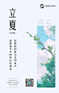 立夏清新文艺24节气电子海报 _排版采下来 #率叶插件，让花瓣网更好用#