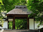京都府 · 日本文化的发祥地丨朴树景观 | 朴树景观