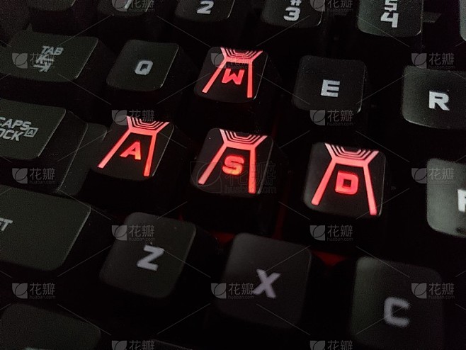 红WASD