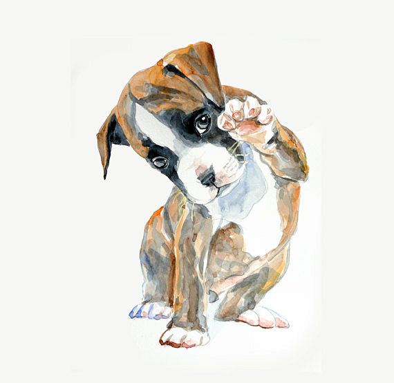 Custom Pet Portrait ...