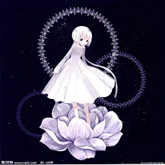 白莲花设计图