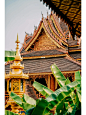 听我的‼️西双版纳旅游去这几个地方就可以❗️