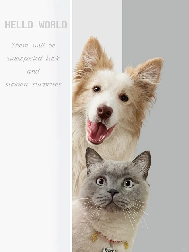 今天画的是猫狗双全的探头合照 _1_边牧记录员_来自小红书网页版-花瓣网