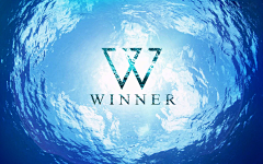 mII6Yz0m采集到向日葵·winner