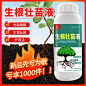 强力生根壮苗剂水生根粉树木大树果树移栽发根植物通用营养液扦插