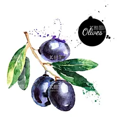 橄榄  - 源文件下载【酷图网】橄榄,水彩橄榄,矢量橄榄,手绘橄榄,卡通橄榄,水果,矢量水果,卡通水果,手绘水果,水果插画,水果插图,线条水果,美食,矢量美食,卡通美食,手绘美食,美食插画,美食插图,线条美食,食物,矢量食物,卡通食物,手绘食物,食物插画,线条食物,食物插图,早餐,早餐食物,健康食物