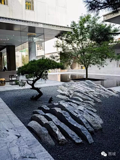 迪路兽进化采集到意向—景石 置石