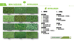 小圭采集到植物施工细节