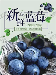 新鲜蓝莓 【酷图网】蓝莓,野生蓝莓,新鲜蓝莓,精选蓝莓,蓝莓包装,蓝莓酱,蓝莓汁,蓝莓礼盒,蓝莓纸箱,蓝莓外箱,蓝莓彩箱,蓝莓酒,蓝莓酒包装,蓝莓果汁,蓝莓果汁包装,蓝莓设计,蓝莓包装设计,矮丛蓝莓,半高丛蓝莓,高丛蓝莓,兔眼蓝莓,蓝莓天地盖,蓝莓海报,蓝莓广告,蓝莓饮料包装
