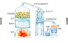 菠萝逗采集到素材丨科技生化