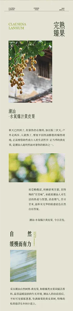公众号推文设计｜女装推文长图设计｜VOL.2 - 小红书-花瓣网