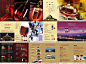 红酒葡萄酒洋酒品牌宣传画册cdr矢量图 #采集大赛#