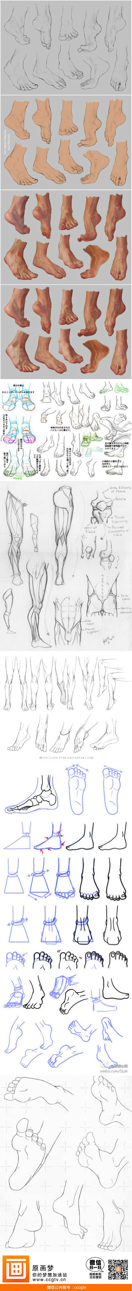 人体结构之脚的各种角度绘画和分析！超级赞...