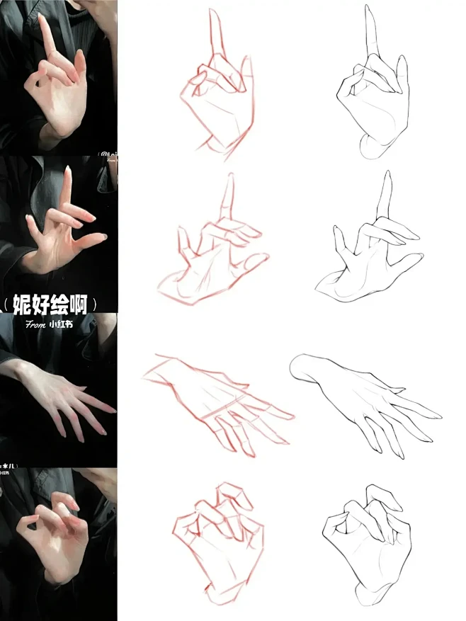 手部练习—大合集-花瓣网