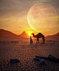 3D 3d art c4d cinema 4d concept art Digital Art  motion graphics  nft art redshift Render