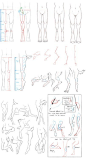 #资源分享# 兽人腿部结构的简单讲解~与人的腿部结构对比学习一下吧~（来源网络搜集，侵删）