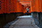fushimi-inari | Flickr - 相片分享！