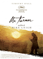 Mr. Turner Movie Poster淘宝字体设计 字形 字体二次修改设计 艺术字体设计 英文字体 中文字体 美术字设计