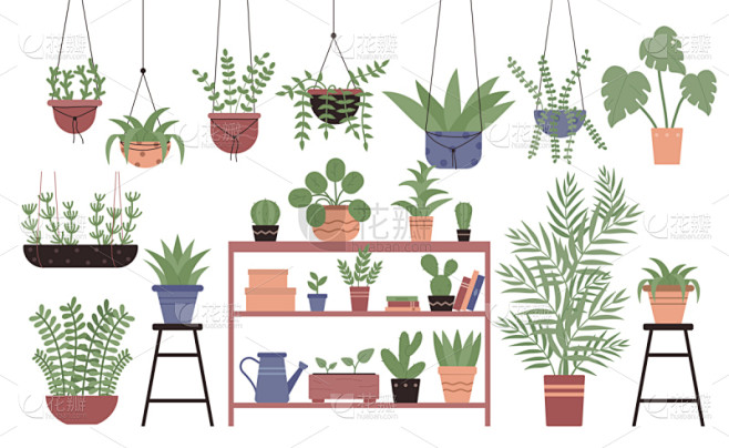 扁平化设计,室内植物,矢量,绘画插图,多样,锅,非凡的,绳子,背景分离,布置