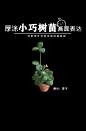 【场景教程 小巧树苗】