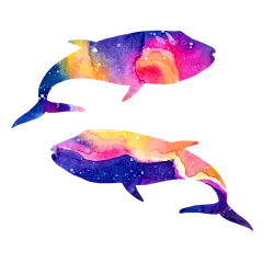 海洋 鲸鱼 PNG 水彩 星空 梦幻 唯美 小清新 手绘 水彩 手帐 插画 蓝鲸 炫彩 背景 免抠图PNG素材，更多素材尽在【点技能】