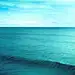小狐狸的王子