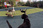 美国纽约布鲁克林大桥公园儿童场地 Brooklyn Bridge Park by MVVA