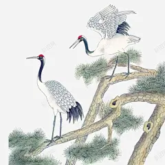 水墨画丹顶鹤松树