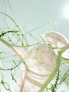 万物随春醒_5_喵喵和汪汪_来自小红书网页版
