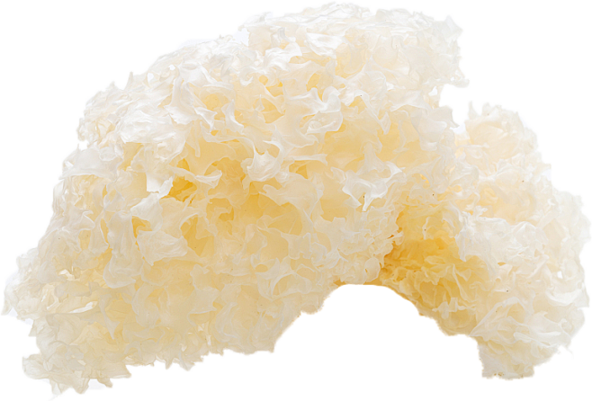 蕾姆的拉姆从瑾年一劫转采于2020-12-21 16:49:04银耳素材蕾姆的拉姆