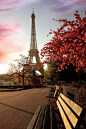 法国巴黎的浪漫象征 埃菲尔铁塔