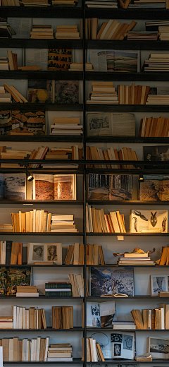 手机壁纸 背景图