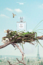 Product Photography perfume