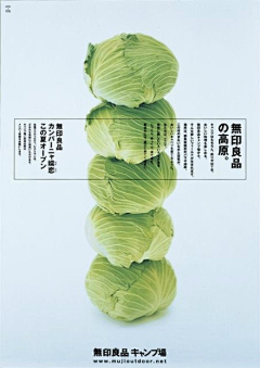 Mikee采集到菜品摄影