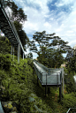 新加坡亚历山大拱桥与森林步道 Alexandra Arch & Forest Walk by LOOK Architects-mooool设计