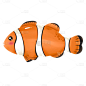 手绘-水族馆元素-小丑鱼