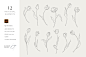 minimalist tulip sketches - galerie design studio-02.jpg