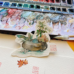 皮洛曹a5采集到插画-水彩