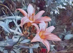 一丛丛上有两朵美丽的大百合花。精致的彩绘。粉色，橙色，蓝色，绿色，黄色。贺卡、妇女贺礼或带有花束的照
