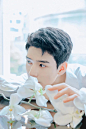 #明星壁纸#龚俊