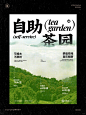 ▪️原创设计｜茶文化茶饮极简海报图文排版_2_黑川设计_来自小红书网页版