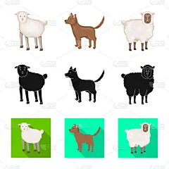 品牌名称,厨房,可爱的,农业,纯种犬,食品,狗,设计,布置