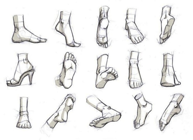 【手、脚、身体各种角度的画法】作者：插画...